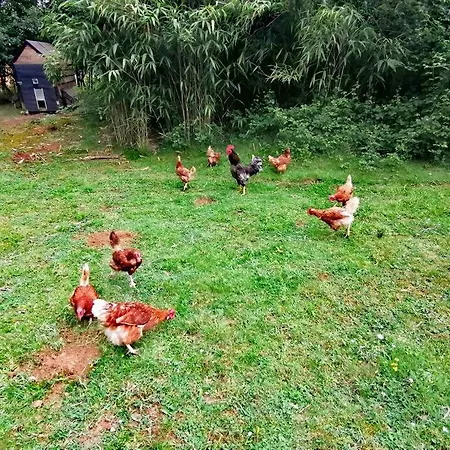 Pilotis Bain Nordique Feriehus *